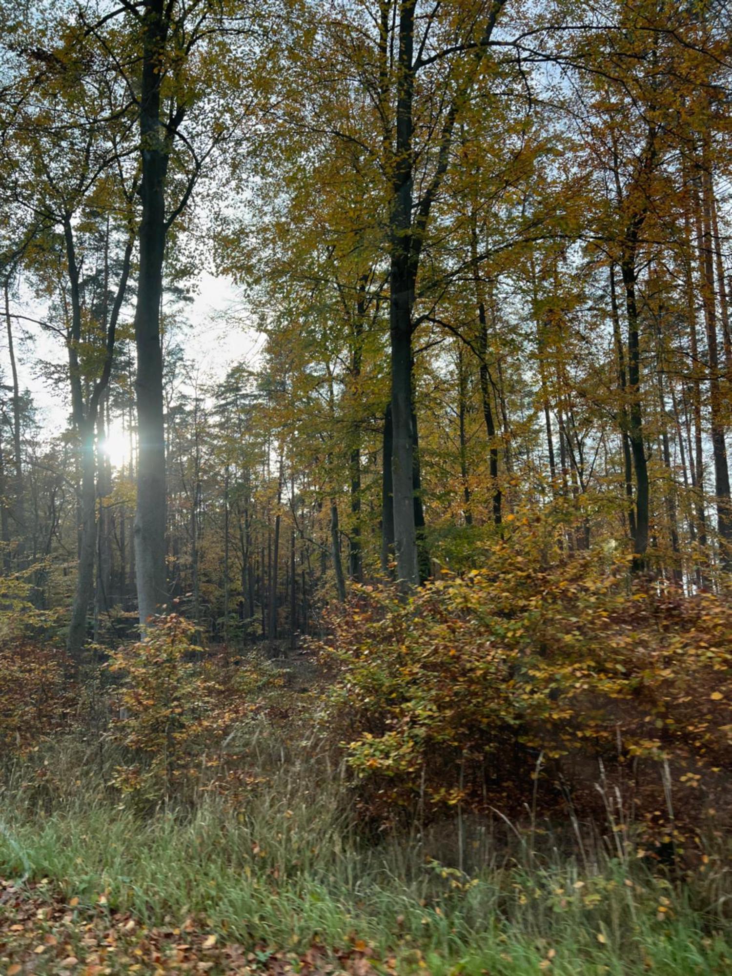 Vila Frau Becker Flecken Zechlin Exteriér fotografie