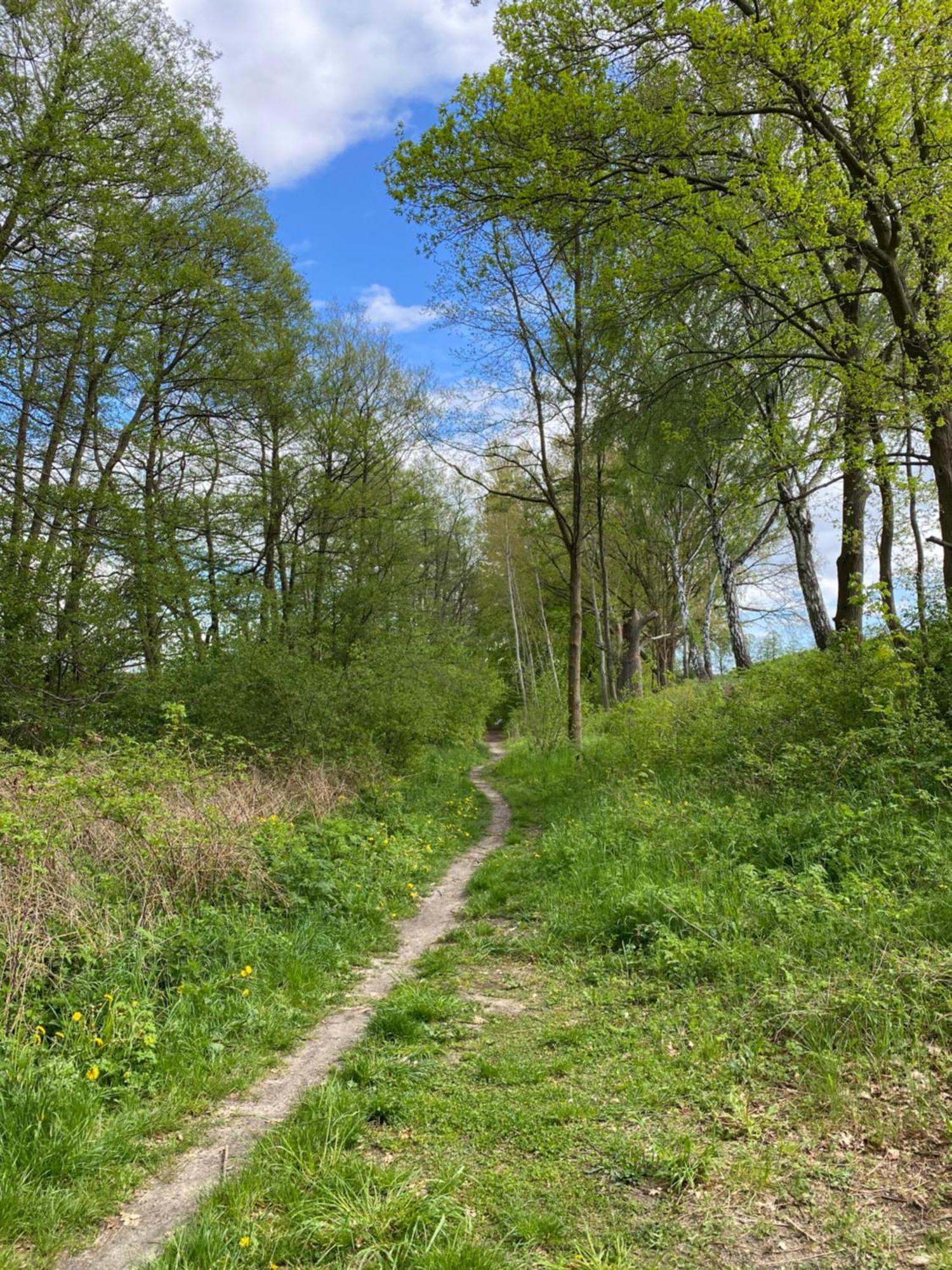Vila Frau Becker Flecken Zechlin Exteriér fotografie
